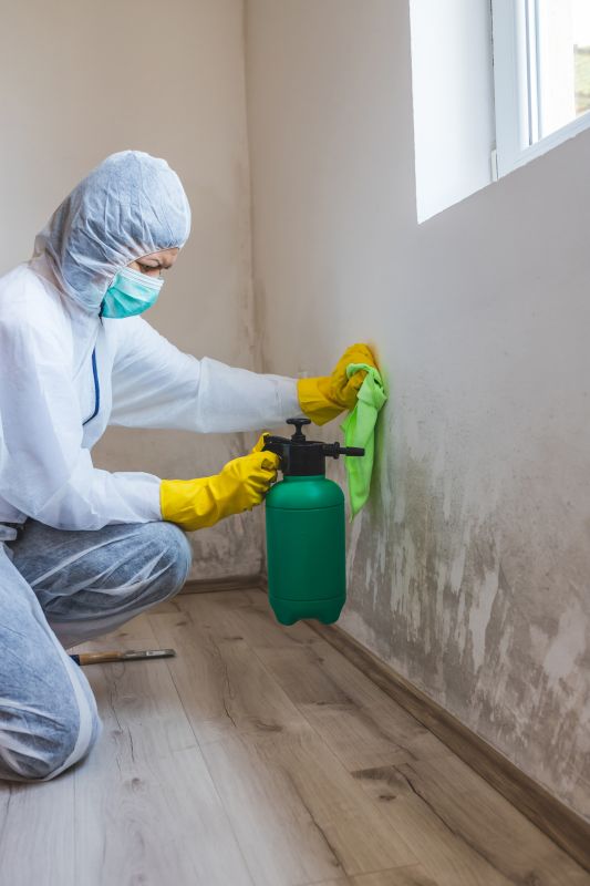 Basement Drying in Scottsdale, AZ