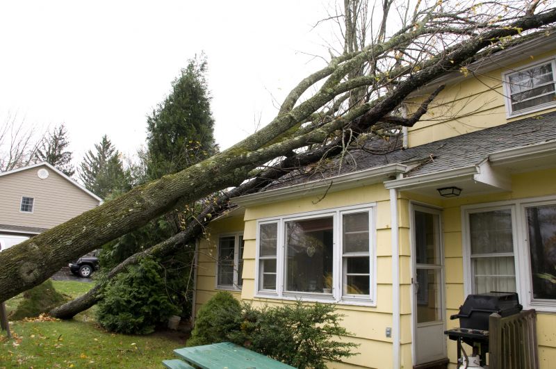 Restoration Service in Kansas City, KS