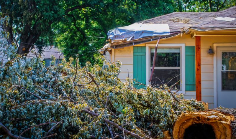 Roof Storm Damage Remediation in Overland Park, KS