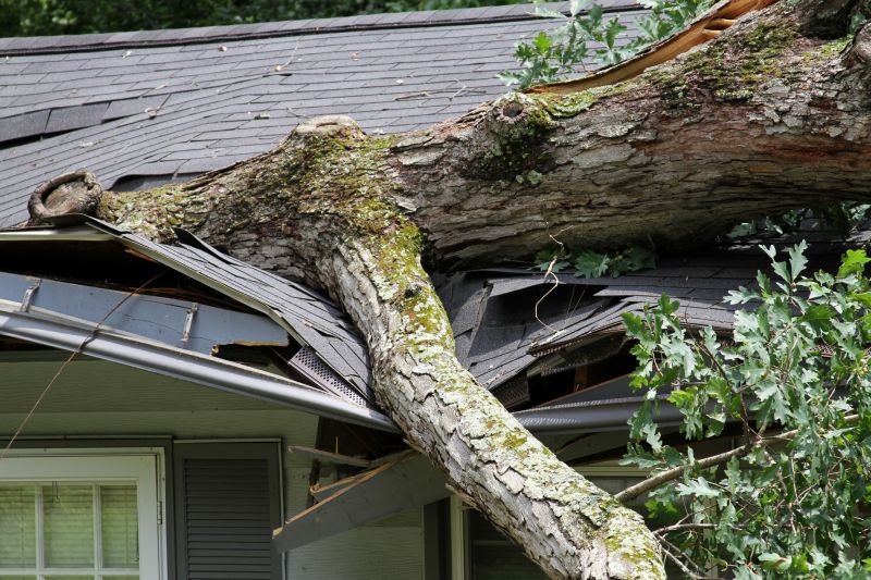 Storm Damage Cleanup in Chandler, AZ
