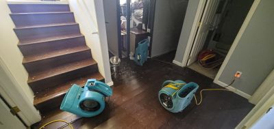 Storm Damage Cleanup in Phoenix, AZ