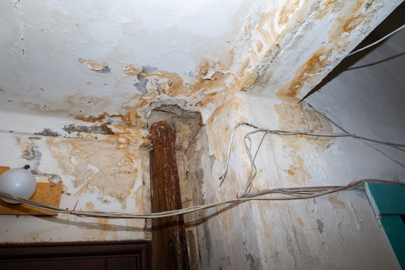 Water Damage Cleanup in Chandler, AZ