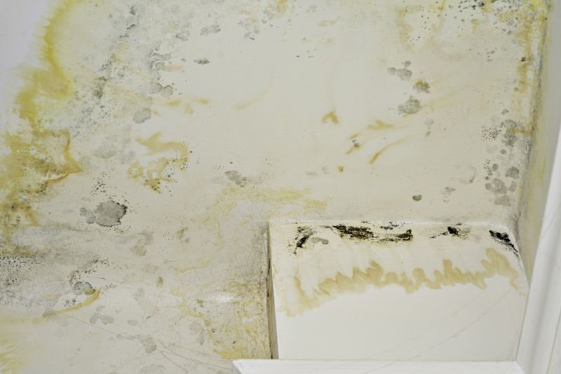 Water Damage Repair in Phoenix, AZ