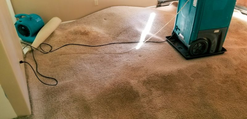 Wet Carpet Drying in Chandler, AZ