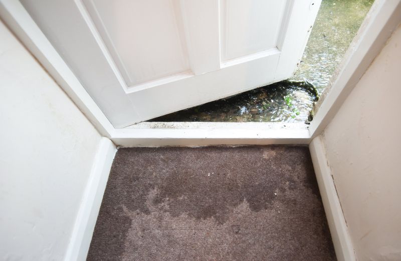 Wet Carpet Drying in Scottsdale, AZ