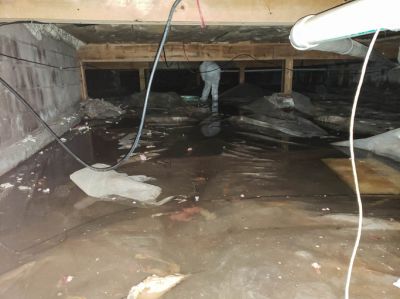 Flooded Basement Services
