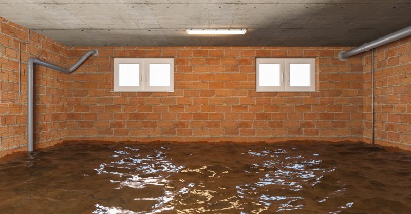 Flooded Basement Cleanup in Chandler, AZ
