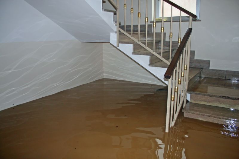 Flooded Basement Cleanup in Wilmington, NC