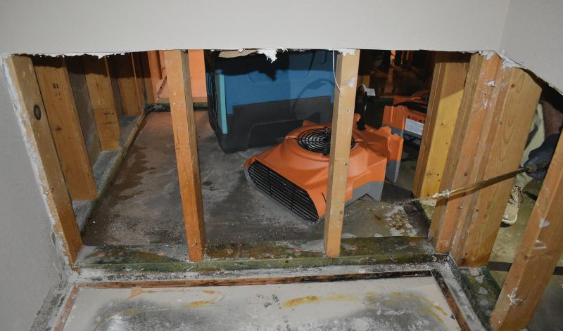 Water Damage Cleanup in Mesa, AZ