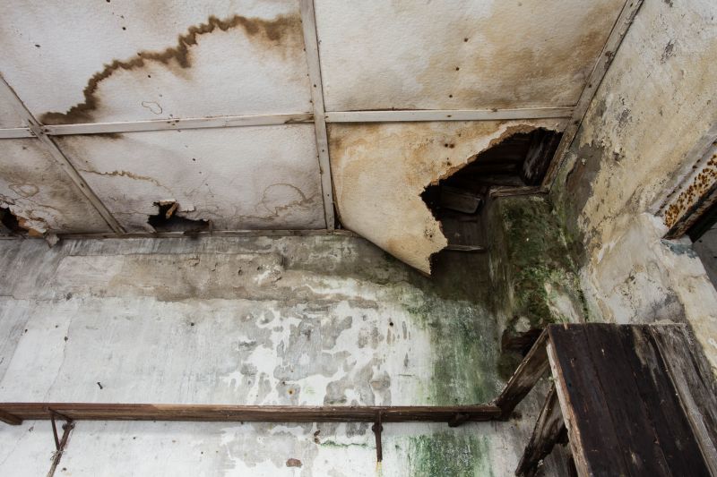 Water Damage Repair in Gilbert, AZ